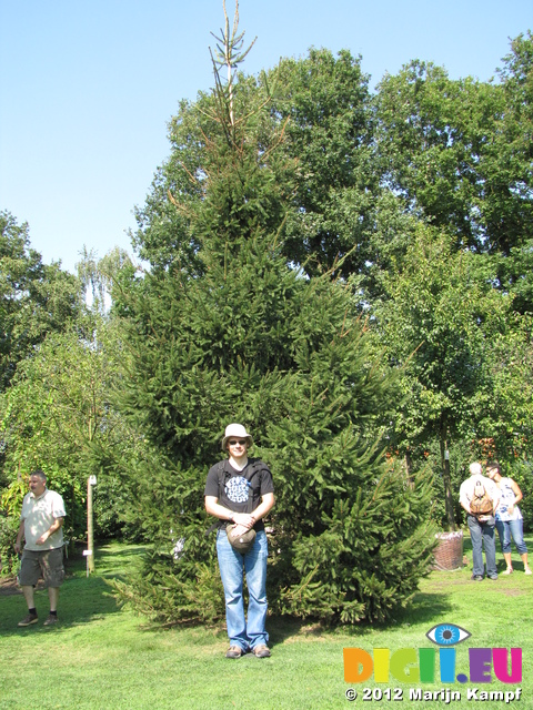 SX24296 Marijn with birth tree Spruce